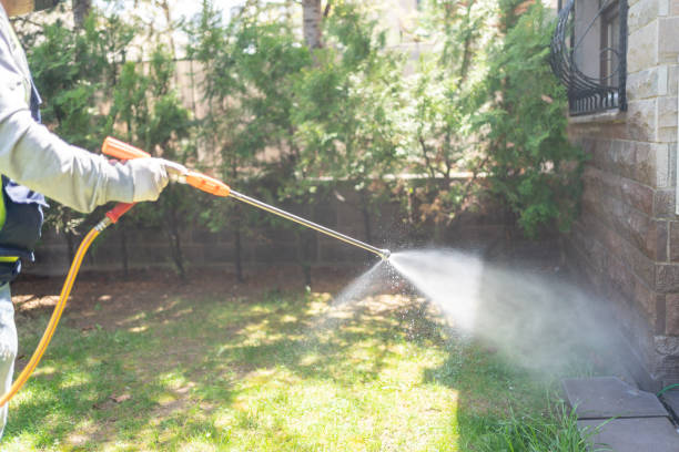 Best Best Pest Control Near Me  in The Dalles, OR