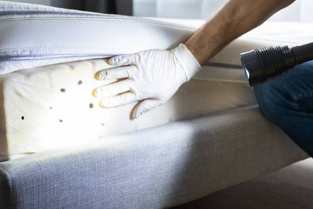Best Pest Prevention Services  in The Dalles, OR