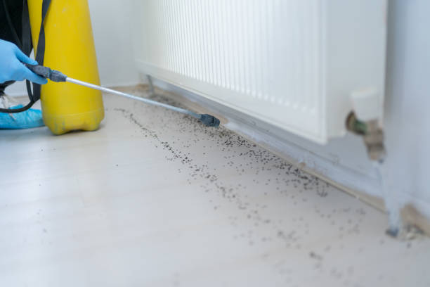 Best Pest Control Near Me in The Dalles, OR